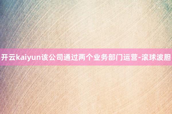 开云kaiyun该公司通过两个业务部门运营-滚球波胆
