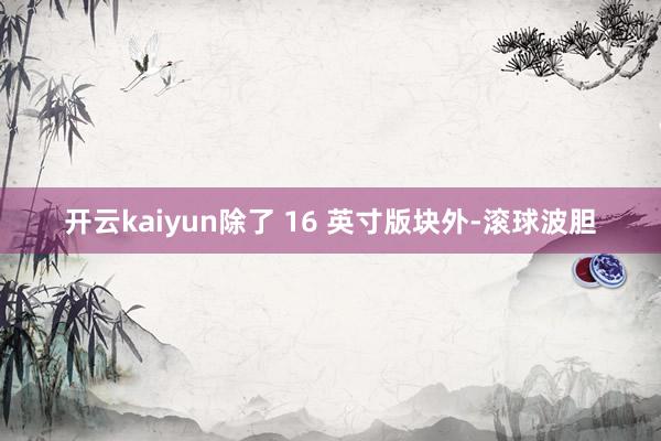 开云kaiyun除了 16 英寸版块外-滚球波胆