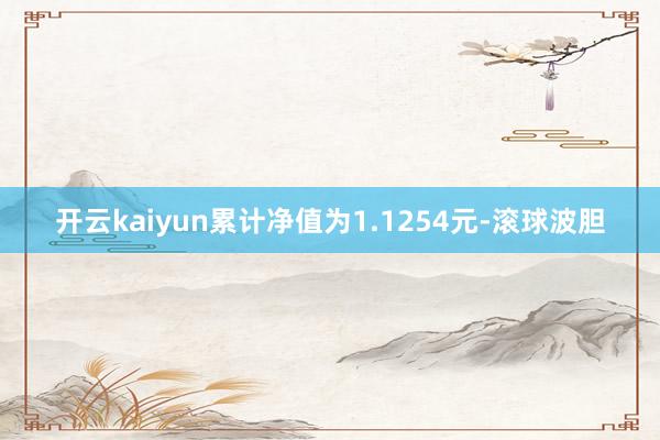 开云kaiyun累计净值为1.1254元-滚球波胆