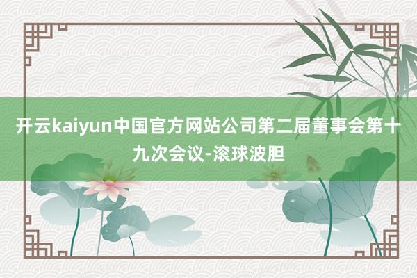 开云kaiyun中国官方网站公司第二届董事会第十九次会议-滚球波胆