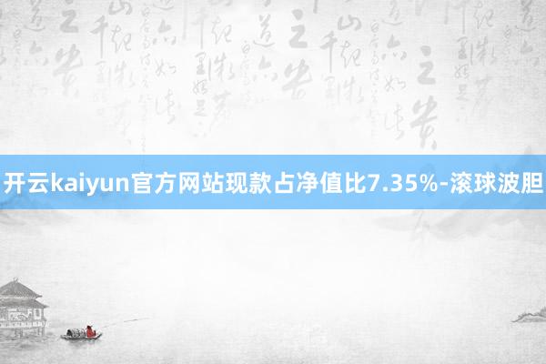 开云kaiyun官方网站现款占净值比7.35%-滚球波胆