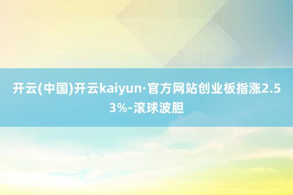 开云(中国)开云kaiyun·官方网站创业板指涨2.53%-滚球波胆