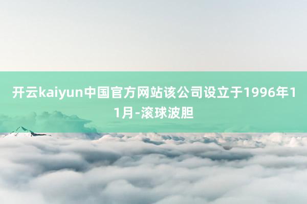 开云kaiyun中国官方网站该公司设立于1996年11月-滚球波胆