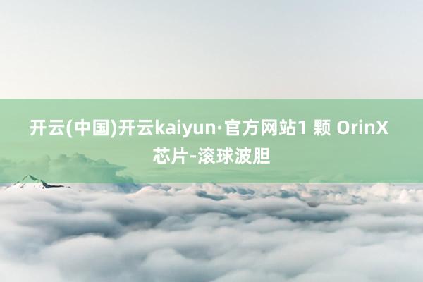 开云(中国)开云kaiyun·官方网站1 颗 OrinX 芯片-滚球波胆