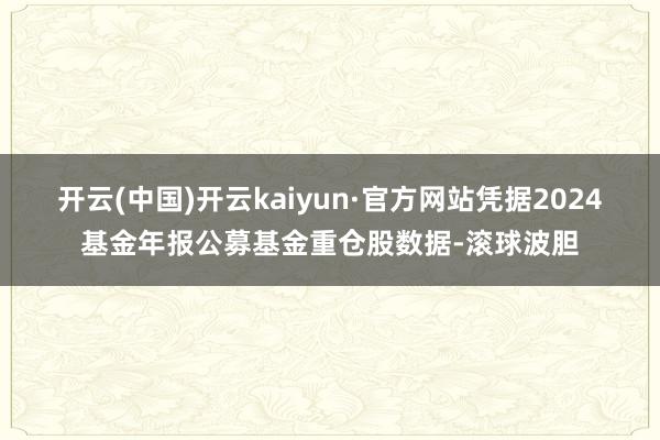 开云(中国)开云kaiyun·官方网站凭据2024基金年报公募基金重仓股数据-滚球波胆