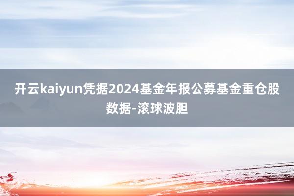 开云kaiyun凭据2024基金年报公募基金重仓股数据-滚球波胆