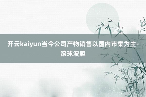 开云kaiyun当今公司产物销售以国内市集为主-滚球波胆