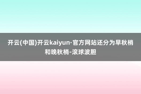 开云(中国)开云kaiyun·官方网站还分为早秋梢和晚秋梢-滚球波胆