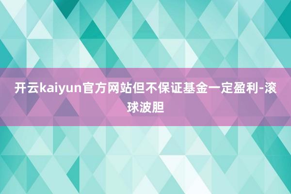 开云kaiyun官方网站但不保证基金一定盈利-滚球波胆