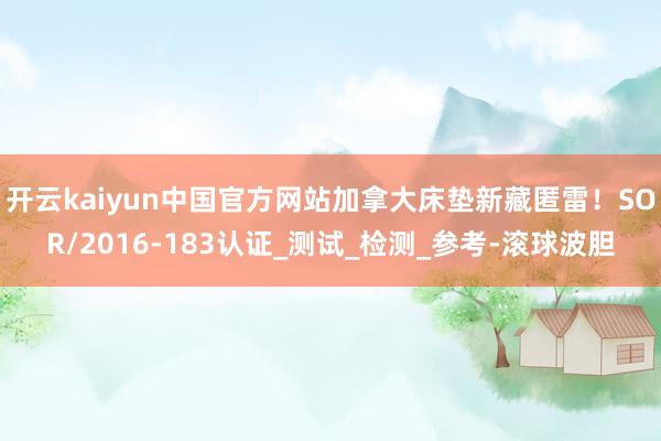 开云kaiyun中国官方网站加拿大床垫新藏匿雷！SOR/2016-183认证_测试_检测_参考-滚球波胆