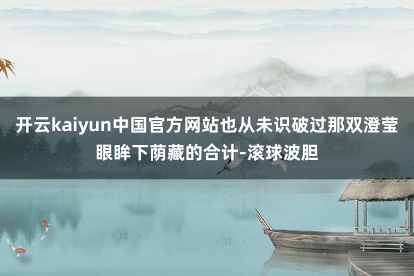 开云kaiyun中国官方网站也从未识破过那双澄莹眼眸下荫藏的合计-滚球波胆