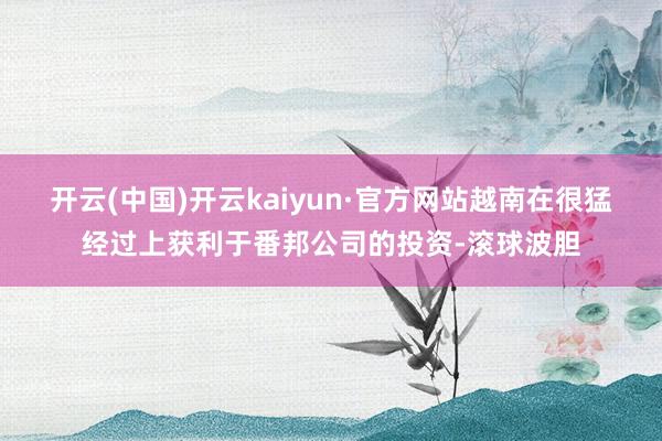 开云(中国)开云kaiyun·官方网站越南在很猛经过上获利于番邦公司的投资-滚球波胆