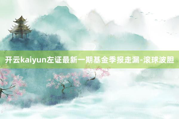 开云kaiyun左证最新一期基金季报走漏-滚球波胆