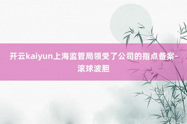开云kaiyun上海监管局领受了公司的指点备案-滚球波胆